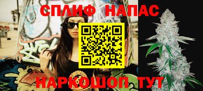 стаф Беслан