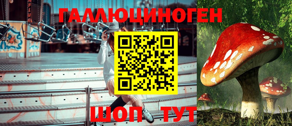 Каменск-Уральский  купить   Вход с VPN  Галлюциногенные грибы Psilocybine cubensis 